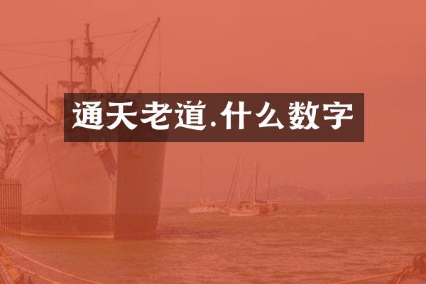 通天老道.什么数字