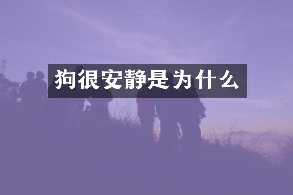 狗很安静是为什么