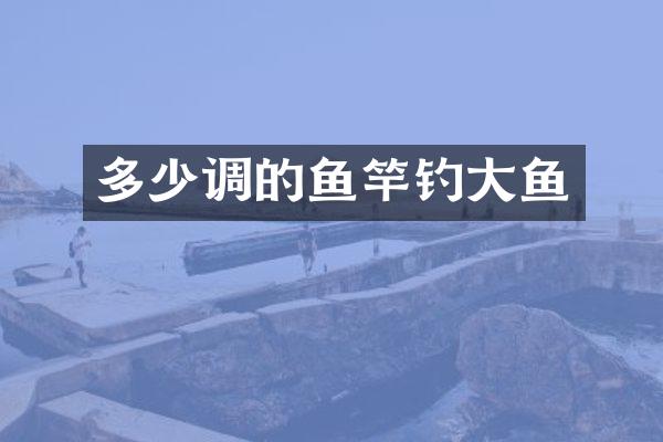 多少调的鱼竿钓大鱼