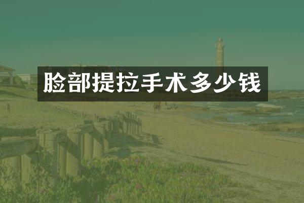 脸部提拉手术多少钱