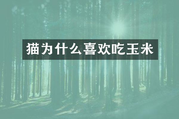 猫为什么喜欢吃玉米