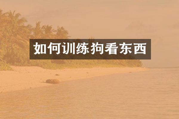 如何训练狗看东西