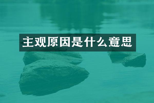 主观原因是什么意思