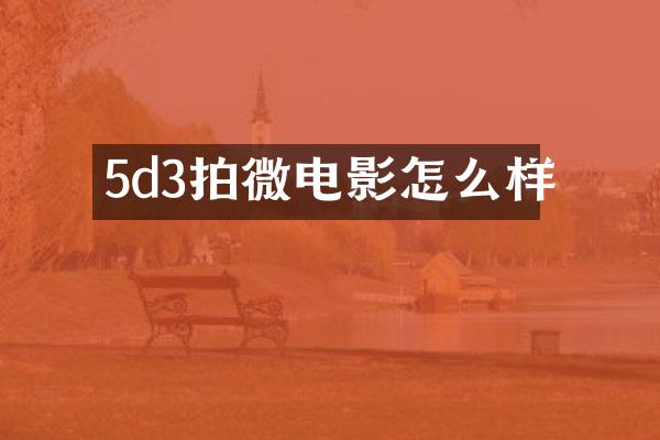 5d3拍微电影怎么样