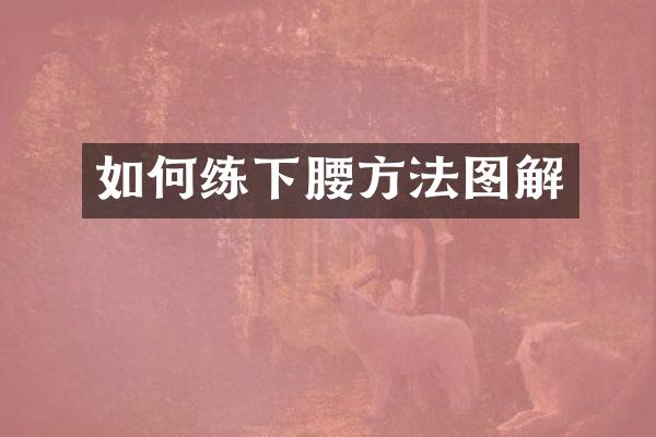 如何练下腰方法图解