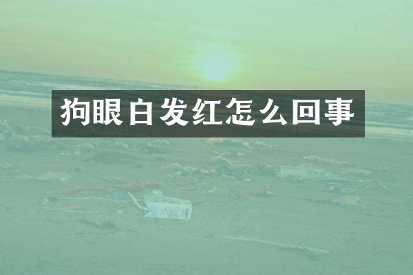 狗眼白发红怎么回事