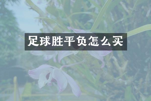 足球胜平负怎么买