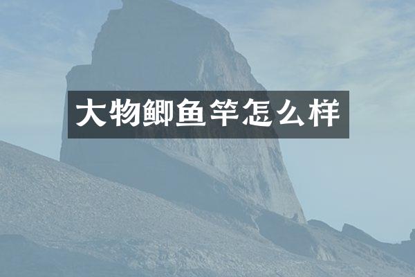 大物鲫鱼竿怎么样