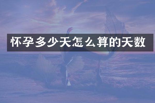 怀孕多少天怎么算的天数