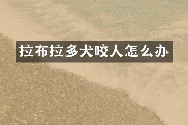 拉布拉多犬咬人怎么办