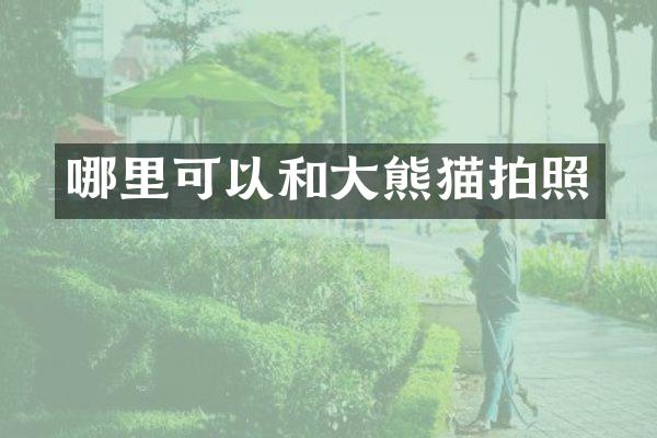 哪里可以和大熊猫拍照