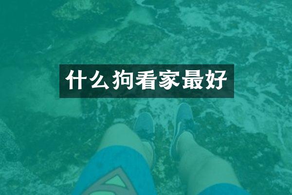 什么狗看家最好
