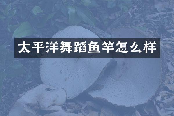 太平洋舞蹈鱼竿怎么样