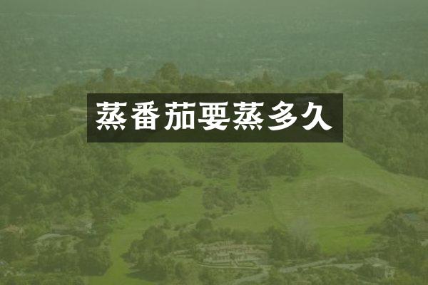 蒸番茄要蒸多久