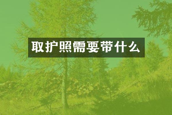 取护照需要带什么