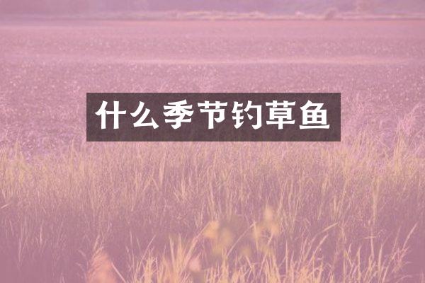 什么季节钓草鱼