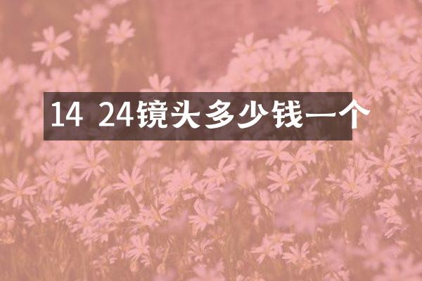 14 24镜头多少钱一个