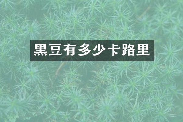 黑豆有多少卡路里