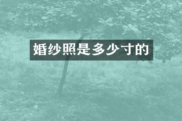 婚纱照是多少寸的