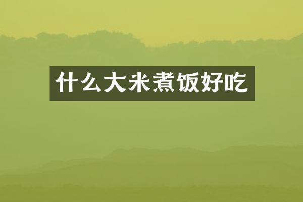 什么大米煮饭好吃