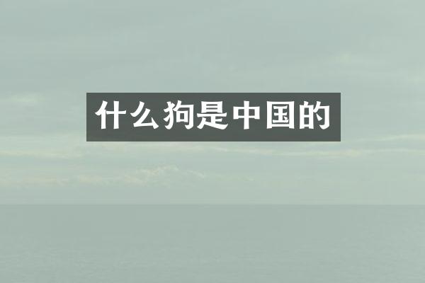 什么狗是中国的