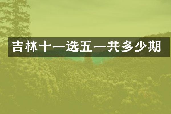 吉林十一选五一共多少期