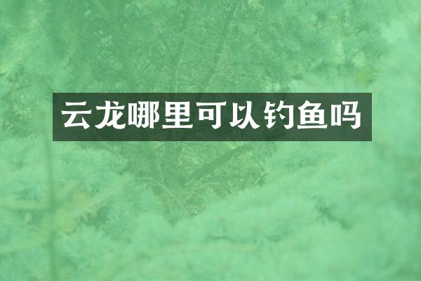 云龙哪里可以钓鱼吗