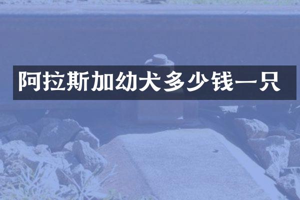 阿拉斯加幼犬多少钱一只