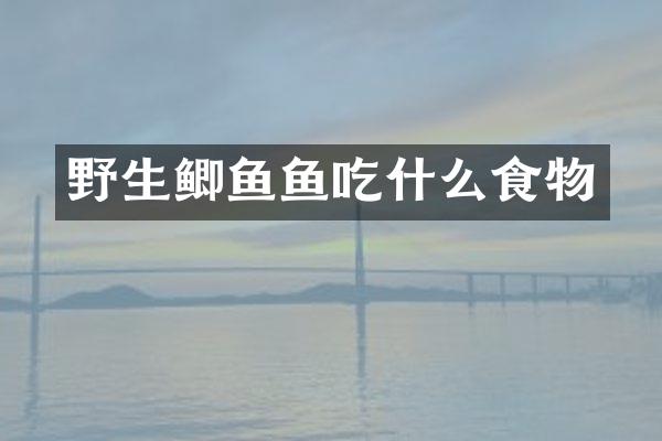 野生鲫鱼鱼吃什么食物