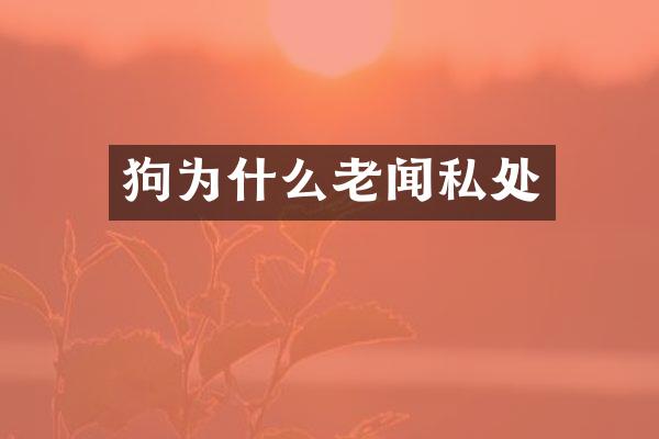 狗为什么老闻私处