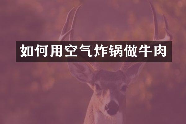 如何用空气炸锅做牛肉