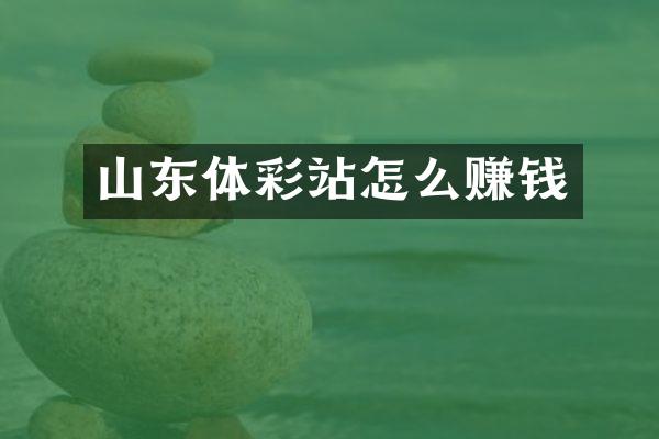 山东体彩站怎么赚钱