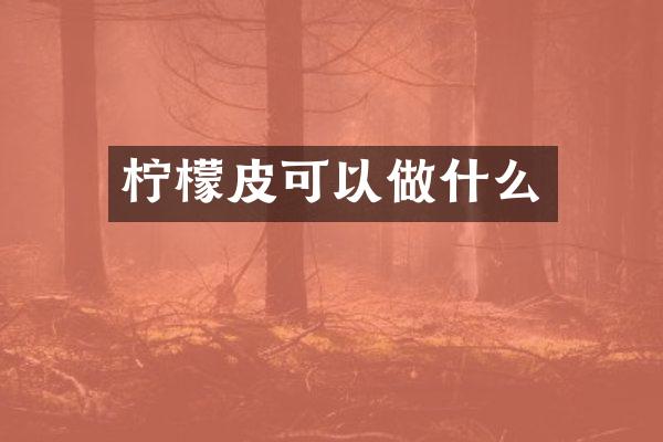 柠檬皮可以做什么