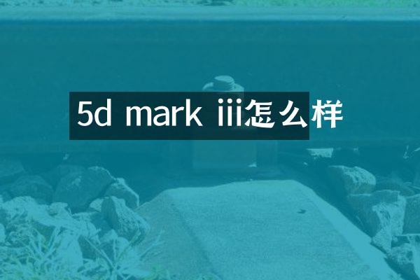 5d mark iii怎么样