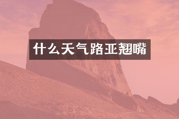 什么天气路亚翘嘴