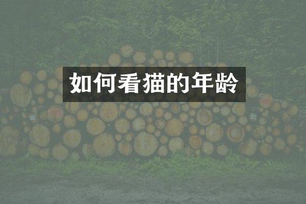 如何看猫的年龄