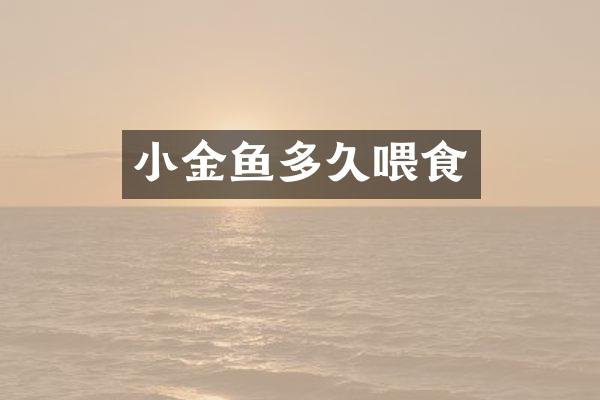 小金鱼多久喂食