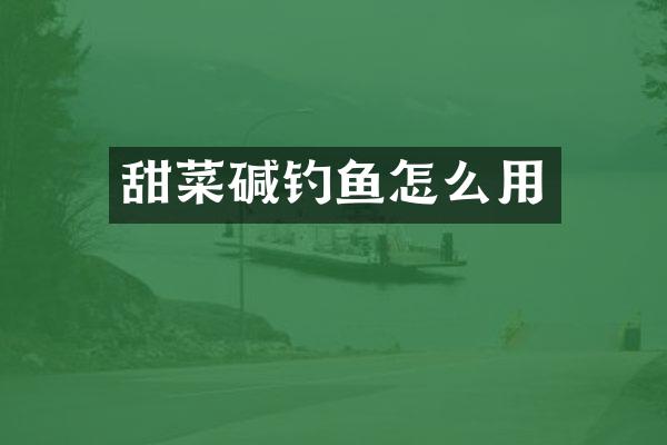 甜菜碱钓鱼怎么用