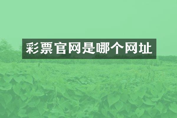 彩票官网是哪个网址