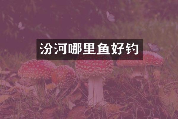 汾河哪里鱼好钓