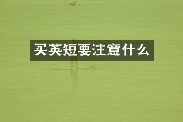 买英短要注意什么