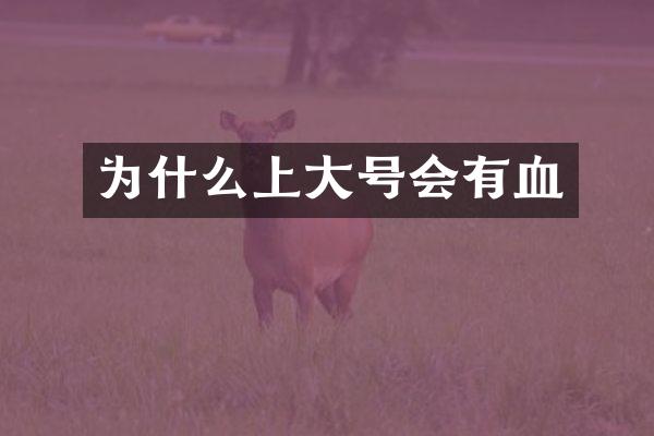 为什么上大号会有血
