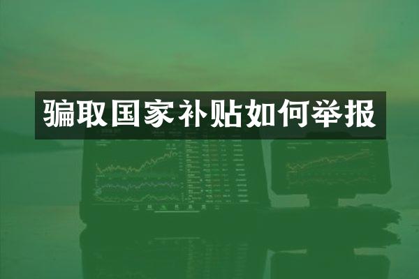 骗取国家补贴如何举报