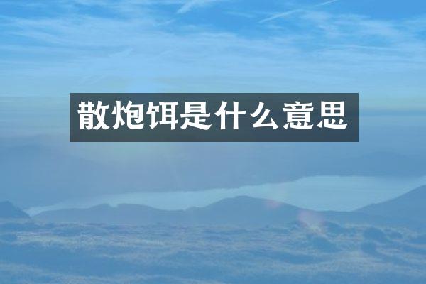 散炮饵是什么意思