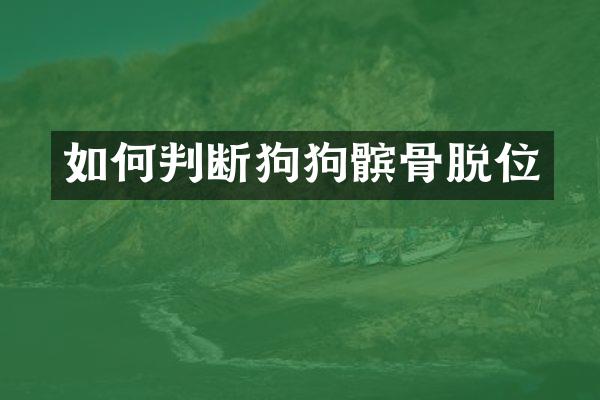 如何判断狗狗髌骨脱位