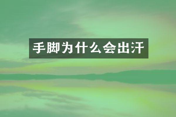 手脚为什么会出汗
