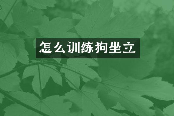 怎么训练狗坐立