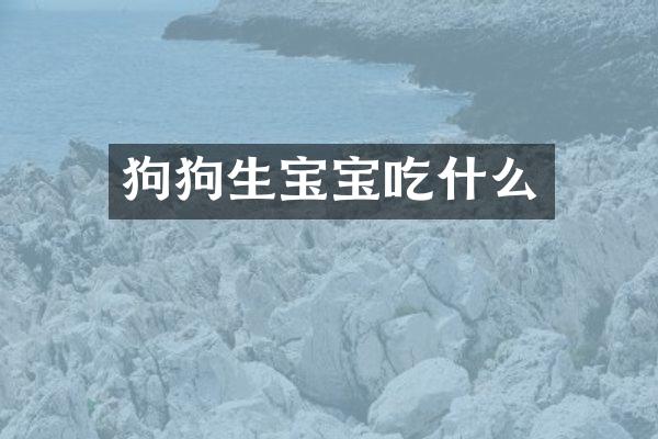 狗狗生宝宝吃什么