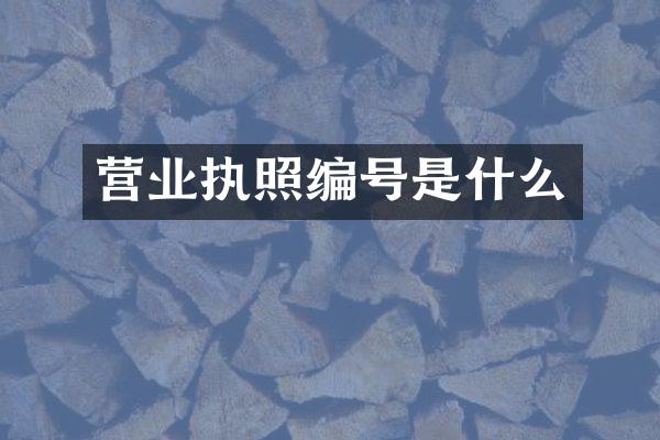 营业执照编号是什么