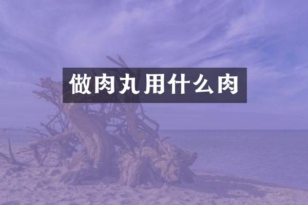 做肉丸用什么肉